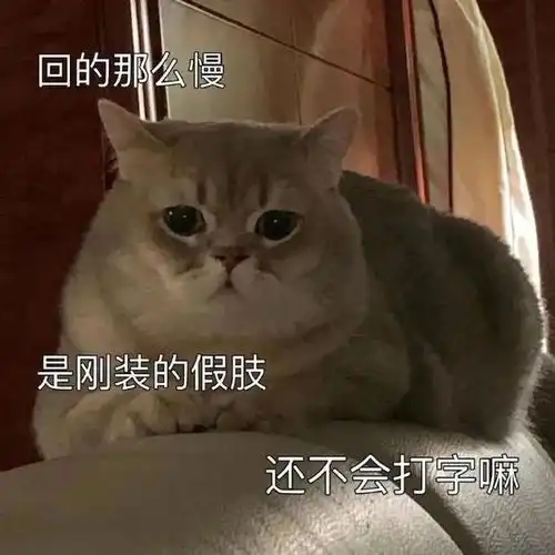 我错了,以后你改丨第816期喵表情包