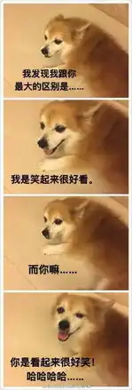 养宠后这些神经的事,我就不相信你没做过