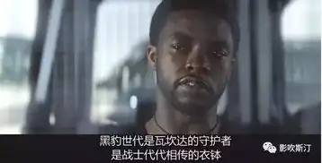 又一部漫威史上最佳北美口碑票房逆天的黑豹在国内熄了火