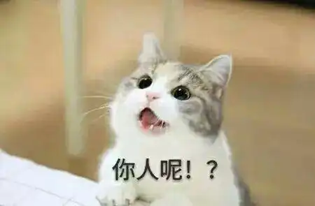 哇,可爱猫咪表情包来了,喜欢猫咪的快来收图,萌得我一塌糊涂