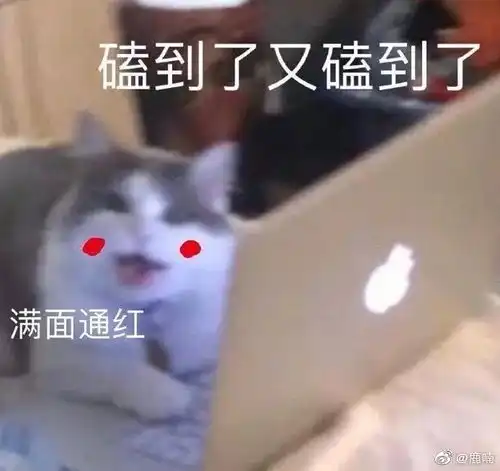 抱团取暖的样子真可怜呜呜呜