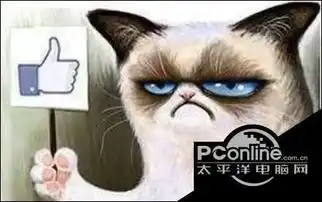 猫咪竖起大拇指表情包猫咪竖起大拇指表情图
