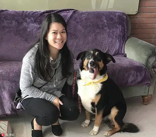 狗狗被遗弃只剩4颗牙获救后因吐舌表情变网红
