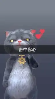 斑布猫的主页快手直播
