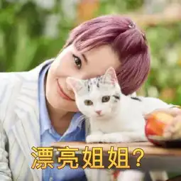 一起组团去偷李宇春了