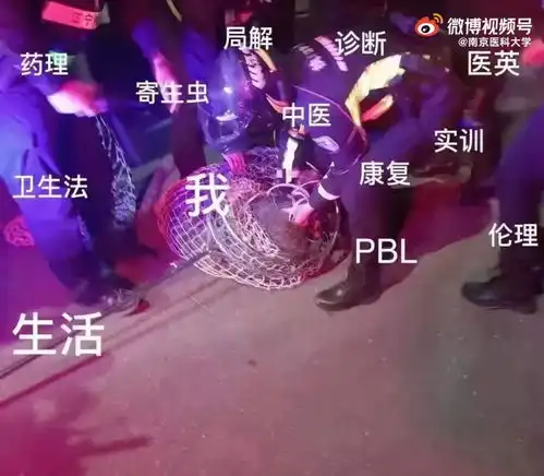 南京一野猪闯进医科大学,表情包疯传警方提醒