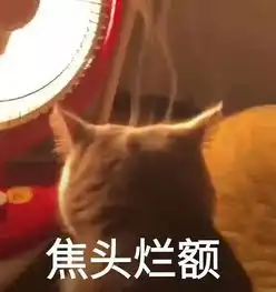 手残党在自己染发这条路上还有没有救了