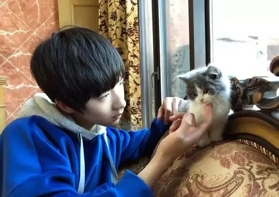 肖战胡歌李现来领取你的猫系男友吧