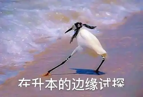 倒计时l成考一年只有一次机会,过期不候