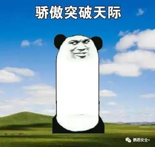 把坑踩遍,让别人无坑可踩搭建私有服务器