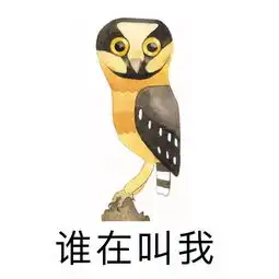 我们不生产表情,我们只是可爱表情的搬运工丨编辑部段子第二弹
