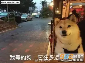 一个人过五一单身表情图片五一单身狗表情包下载乐游网游戏下载