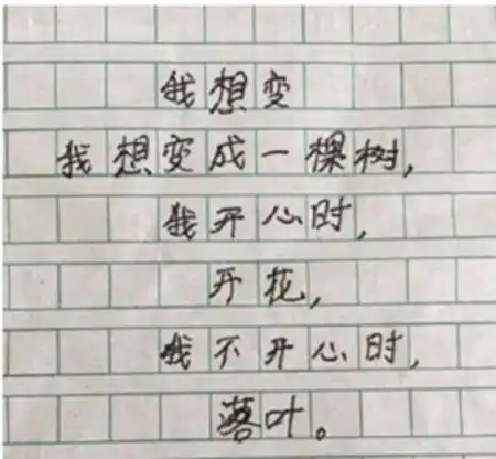 六年级学生的作文成网红,中文系毕业的我都自愧不如