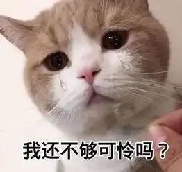 论,女生相册里奇奇怪怪的表情包
