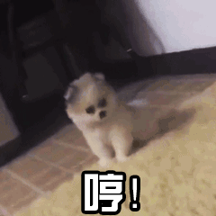 搞笑gif段子怎么做到的,绝对一神人呀