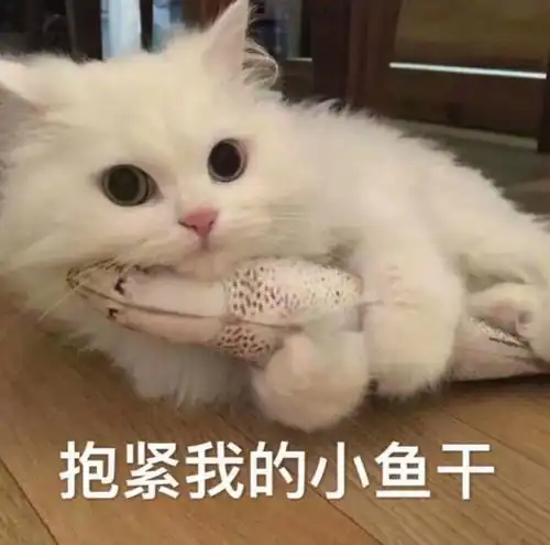 教资面试现场行为图鉴,我太太太太难了