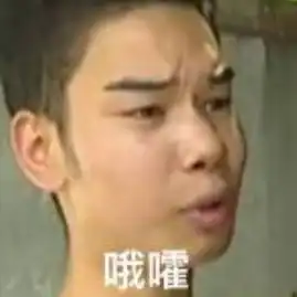 连网红表情包都要出道真是眉有办法