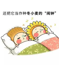 最后5天55000盆菊花全部绽放承包汕头人的朋友圈