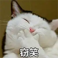 情侣斗图日常表情包我觉得你对我略微放肆,说不过你但喜欢你