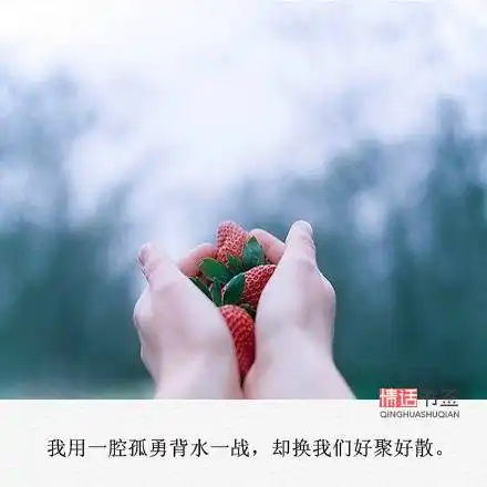 文字控情话伤感短句文字句子堆糖,美好生活研究所