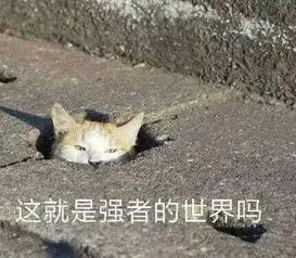 爱上渣男的,都是狠人