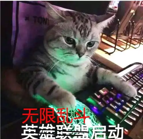 无限乱斗刚出来,英雄联盟的服务器就炸了