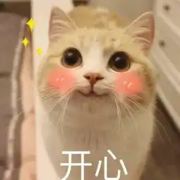 可爱表情包聊天撩人表情包