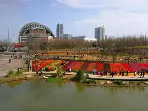 摄影师驾到丨金华人眼中的世界3.6