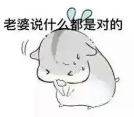 开心一刻哄老婆必备表情包你值得拥有