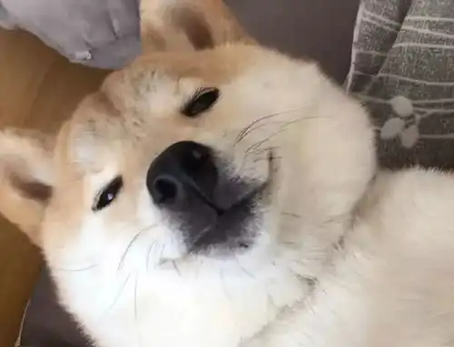 考试月你是否每时每刻都很焦虑