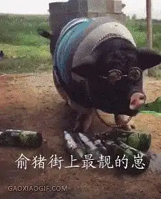 组长表情包流量慎点