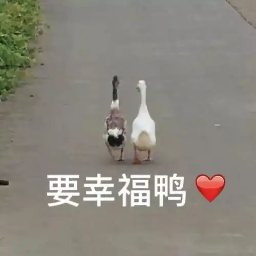no.559游戏明明是带来快乐的,为什么又失眠了语瞳