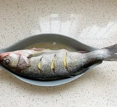 快手又营养,我家的冬日必备菜品清蒸鲈鱼