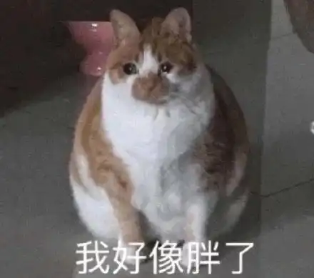 请问可以用第二学士学位申请德国的硕士吗