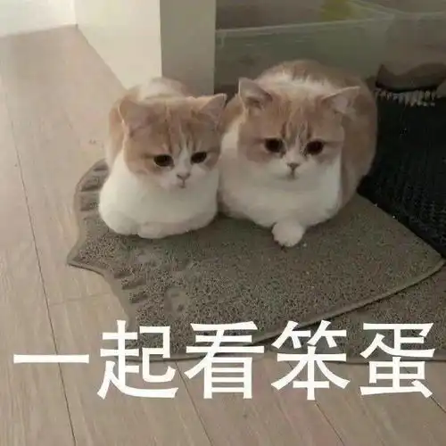 沙雕表情我心爱的狗东西在吗