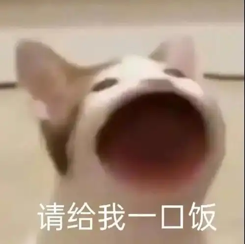 表情包沙雕表情包635期