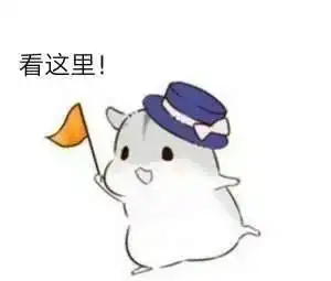 在厦门正式启动大咖亮相原来他们都在做这件事