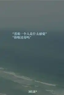 求几张好看的qq皮肤素材不要人物或动物的