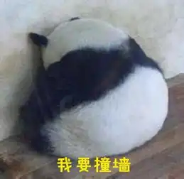 战斗民族的熊猫品种都不太一样,竟然还能赚钱