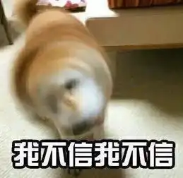 假期结束别难过年后超全拼假攻略来啦看完满血复活哈哈哈