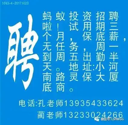 最新招聘求职车辆生活信息每日更新