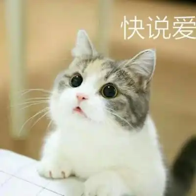 卖萌图带字可爱头像