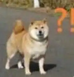 是谁动了我没洗的袜子