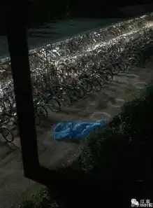 大学生砍伤宿管员同学楼跳坠亡室友称其举止怪异