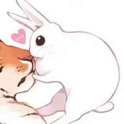 哪些双子座一看就能在一起很久很久