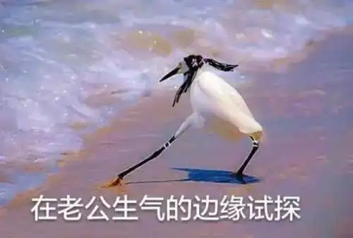 2018网络热词排行榜,榜首居然是它