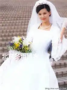 李若彤早年婚纱写真清纯似神仙姐姐