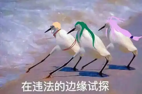 为什么我们不想结婚生子