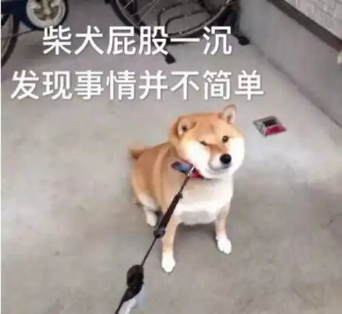 童心第三站六一开盲盒啦