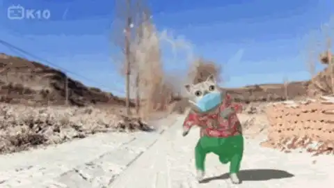 你知道mur猫吗